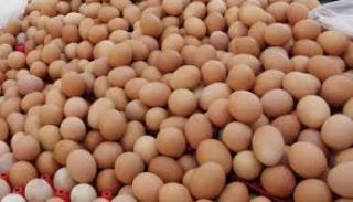 Sepi Pembeli, Harga Telur Ayam Anjlok