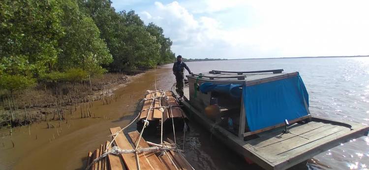 Polda Riau Amankan Pompong Penarik Kayu Ilegal di Sungai Apit Siak