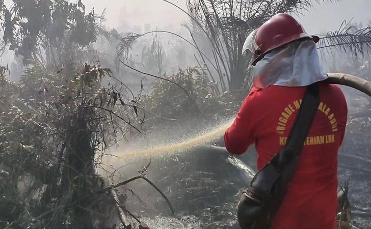 Hotspot di Riau Meningkat, 20 Titik Panas Terdeteksi di 7 Daerah, Siak Paling Banyak