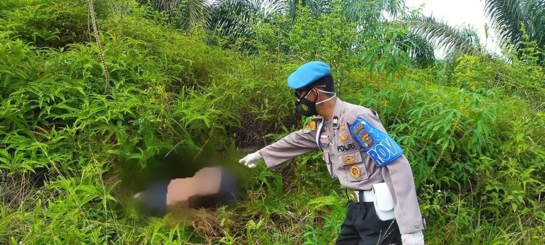 Sesosok Mayat Perempuan di Pelalawan Riau Ditemukan Membusuk