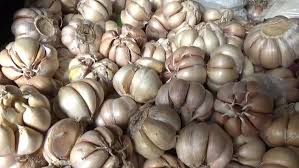 Duh! Harga Bawang Putih Terus Meroket