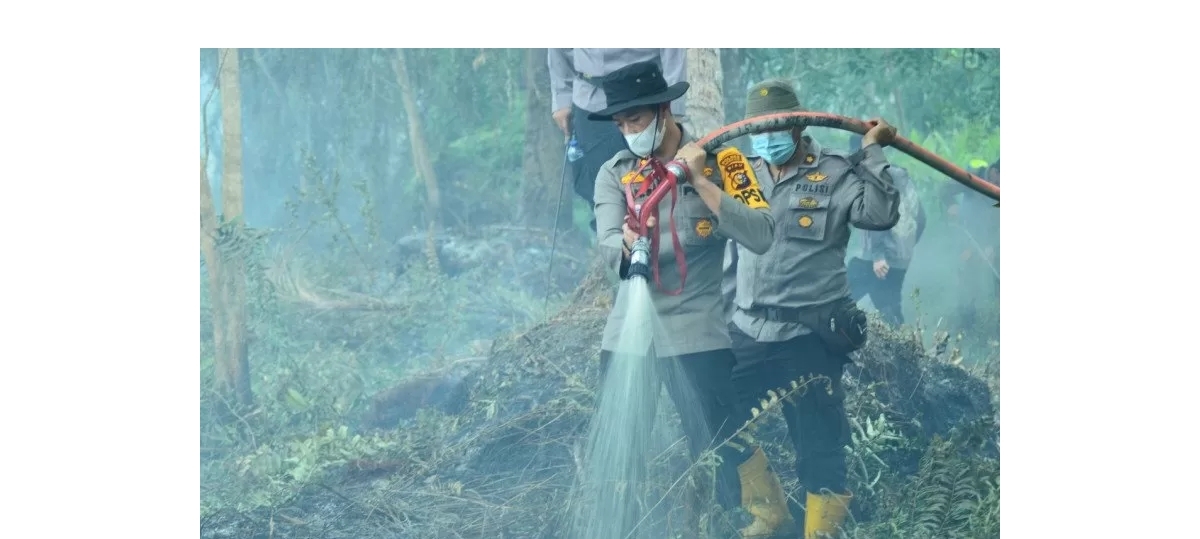 Enam Hektare Lahan  di Inhil Terbakar