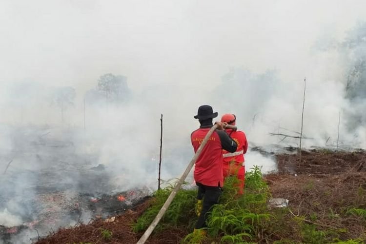 Gratis, Riau Sediakan 12 Alat Berat untuk Warga Membuka Lahan Tanpa Membakar