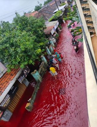 Geger, Air Banjir di Pekalongan Berwarna Merah