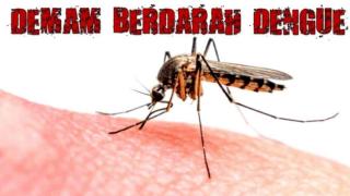 Demam Berdarah Menyerang 11 Orang Warga Pekanbaru