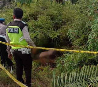Mayat Perempuan di Pelalawan Membusuk Dikira Onggokan Sampah