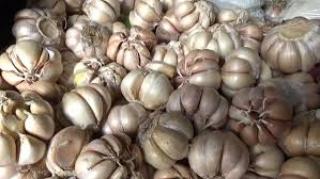 Duh! Harga Bawang Putih Terus Meroket