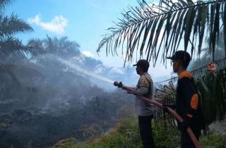 Dua hektare lahan kelapa sawit kembali terbakar di Agam