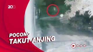 Polisi Selidiki Pocong Dikejar Anjing di Sulsel yang Viral, Asli atau Palsu