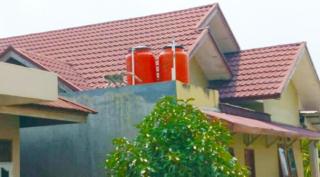 Main Di Komplek Rumah Warga, Monyet Liar Gigit Balita di Pekanbaru