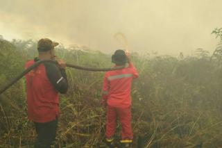 Semakin Banyak Titik Api Karhutla Riau, Kebakaran Sampai 20 Hektar