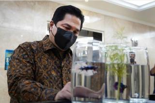Pamer Cupang Milik Office Boy di Kantornya, Erick Thohir Ingat Masa Awal Berbisnis