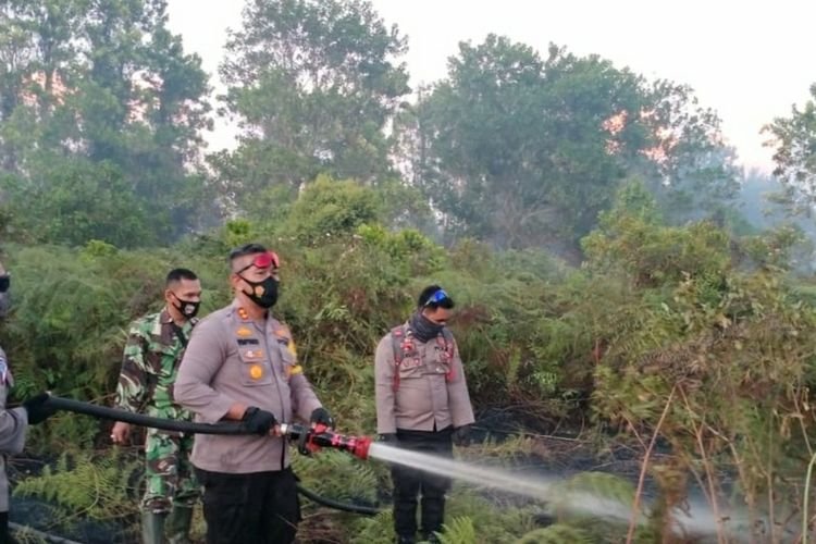 Polisi Buru Pelaku Pembakaran Hutan dan Lahan di  Meranti