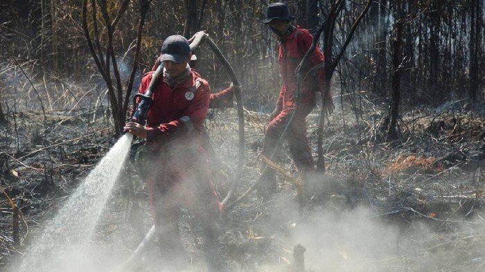100 Hektare Cagar Biosfer Giam Siak Kecil Hangus Terbakar