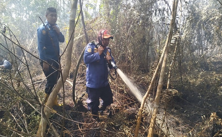 Titik Api di Lahan Gambut Kembali Muncul di Kampung Merempan Hilir Siak
