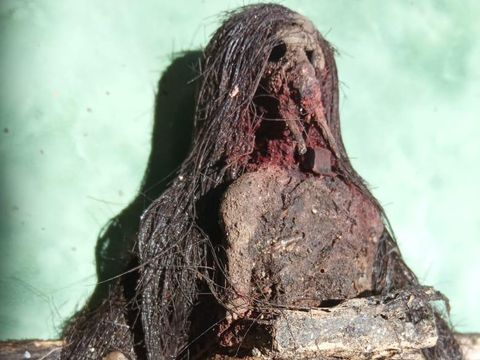 Jenglot Temuan di Makam Keramat Kudus Ternyata dari Gabus, Menghindari Fitnah Akhirnya dibakar