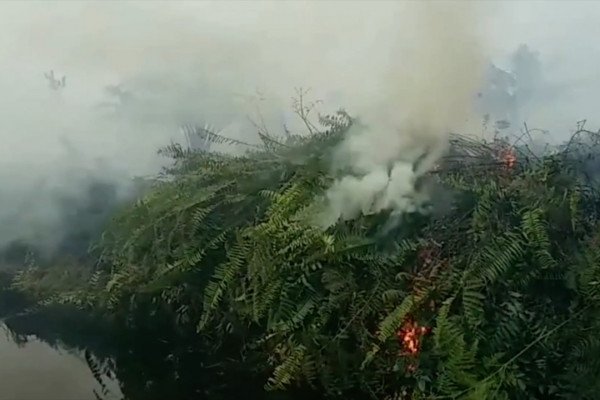 Lahan Gambut Rimbo Panjang-Riau Terbakar, Tim Berjibaku Memadamkan