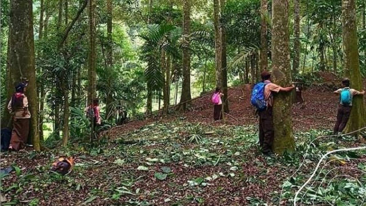 Manfaat Peluk Pohon yang Jarang Diketahui Orang
