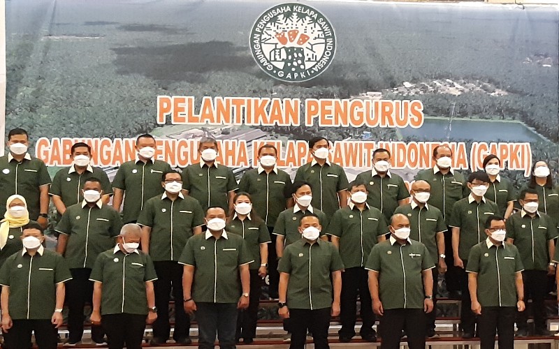 GAPKI Menyatakan Peremajaan Sawit Rakyat Jadi Program Prioritas 