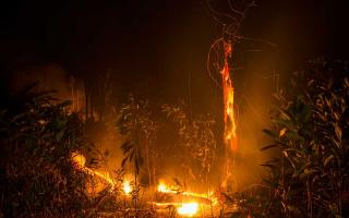 Tim Gabungan Kesulitan Air Padamkan Kebakaran Hutan Lindung Chevron