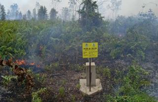 Tak Berfungsi, Rumah Nawacita Minta Audit Proyek Sumur Bor BRGM di Bengkalis
