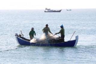 KKP Sebut Kekayaan Laut dan Perikanan RI Senilai Rp 19 Ribu Triliun, Simak Yuk