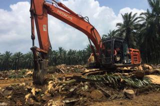 Soal Lahan Desa Gondai Pelalawan, Pengamat : Negara Lewat KLHK Harus Hadir