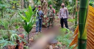 Ada Bekas Cakar, Mayat Perempuan di Inhil Ditemukan Dalam Keadaan Bugil