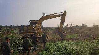 Konflik Agraria di Desa Gondai Pelalawan, Pakar Lingkungan Sebut Negara Lemah