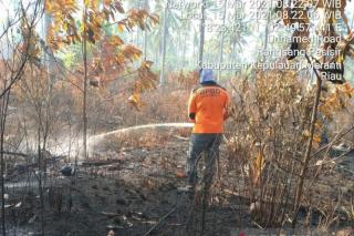 Turun Hujan, Kepulauan Meranti untuk Sementara Nihil Karhutla