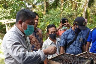 DLHK Riau Dampingi Masyarakat Kenegerian Kampa Kelola Madu Kelulut