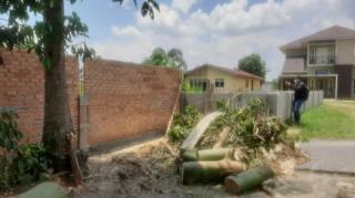 Pagar Tembok yang Tutupi Jalan Umum di Pekanbaru Akhirnya Dibongkar