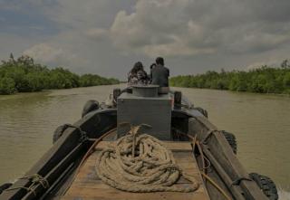 BRGM Targetkan Restorasi 1,2 Juta Hektare Lahan Gambut dan Mangrove 21 Ribu Hektare di Riau