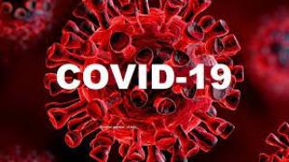 Kasus Positif COVID-19 Riau Bertambah 404 Kasus, Pekanbaru Tertinggi 145 Kasus