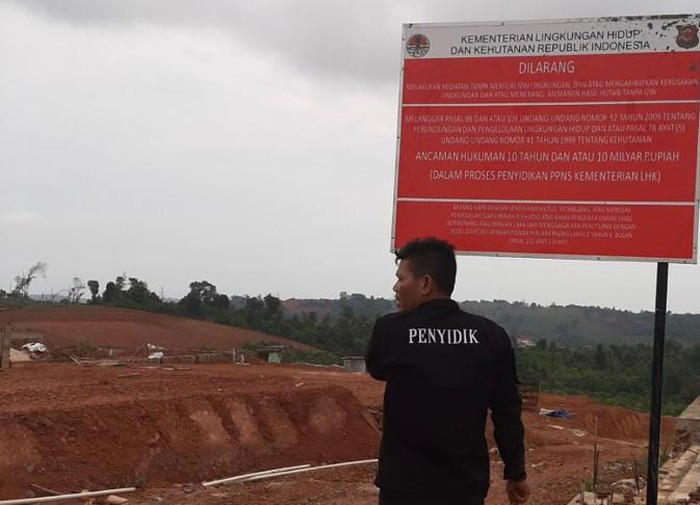 Polisi Tangkap Direktur PT PMB Tersangka Kasus Perambahan Hutan Lindung Jadi Perumahan di Batam