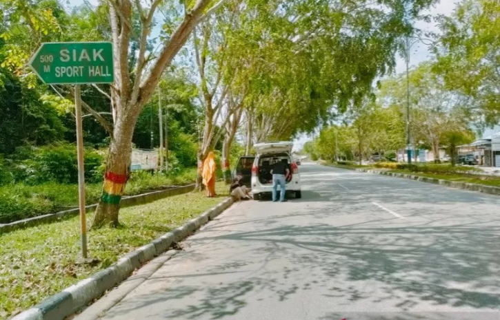 Dana BOS Rp85 Juta Dalam Mobil Kepsek SDN 08 Bungaraya Siak di Rampok Maling