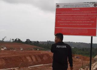 Polisi Tangkap Direktur PT PMB Tersangka Kasus Perambahan Hutan Lindung Jadi Perumahan di Batam