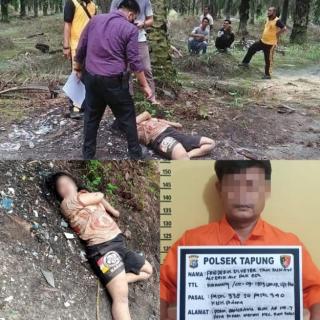 Didalangi Cemburu, Oknum Karyawan PTPN V Tapung Bunuh Teman Wanita di Kebun Sawit Kampar Riau