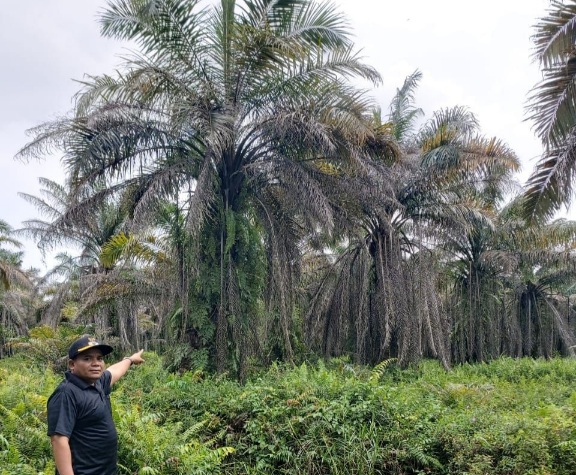 Hasil Audit, Ketua Kopsa-M Diduga Lakukan Berbagai Penyimpangan