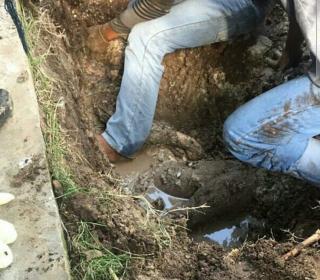 Hamil 8 Bulan, Jasad Wanita di Kampar Ditemukan Dalam Septic Tank