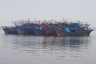 KKP Tangkap Tujuh Kapal Asal Sumut Gunakan Pukat Harimau di perairan Rohil, 19 Ton Ikan Diamankan