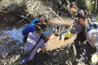 Tega, Usai Cekcok Suami Bantai Isteri dengan 11 Tikaman, Jasadnya Ditinggalkan di Kebun Sawit