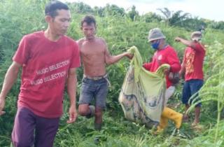Diduga Diserang Harimau, Warga Dumai Ditemukan Tewas Tercabik-cabik