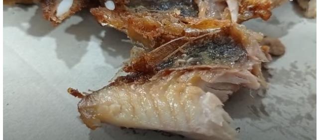 Ditemukan Belatung di Jatah Makan Siang Pasien Covid-19 di Inhil, Ini Kata Pihak Catering