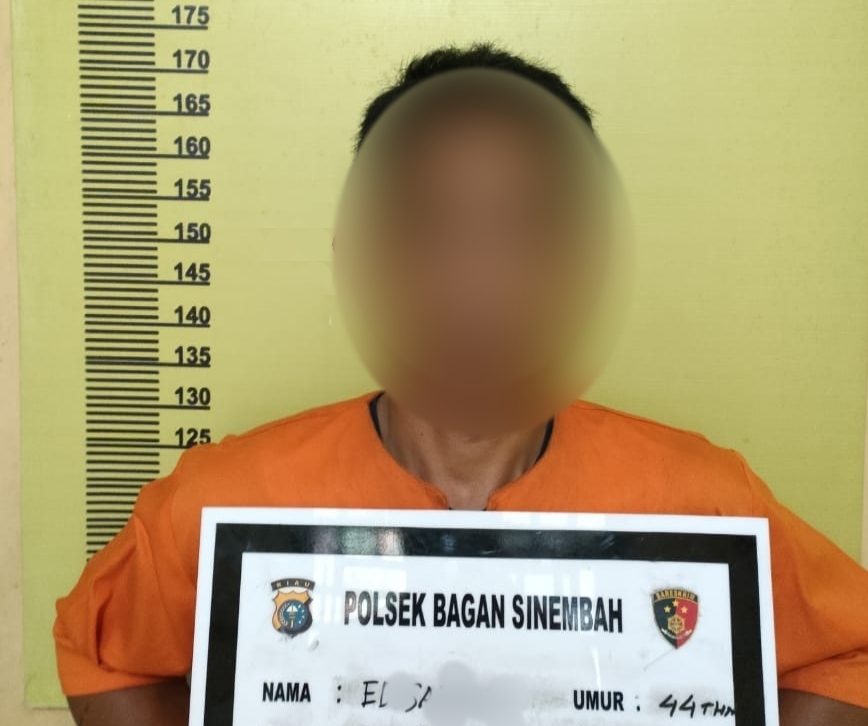Dibawah Kendali Narkoba, Pria Rohil ini Jarah Uang & Tinju Wajah Mantan Istri