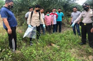 Warga Inhu Dihebohkan dengan Temuan Tengkorak Manusia Beserta SIM dan KTP di Kebun Sawit