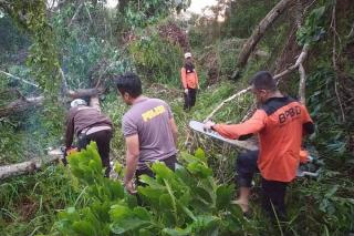 Selatpanjang Diterjang Hujan Badai, 12 Rumah dan 5 Kapal Rusak serta 27 Pohon Tumbang
