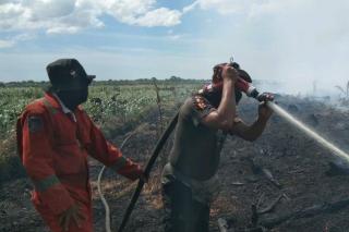 Sudah Lima Hari TRC Satpol PP Riau Bantu Padamkan Karhutla di Rohil