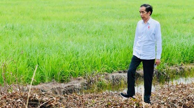 Presiden Jokowi Ingin Generasi Muda Berminat Jadi Petani