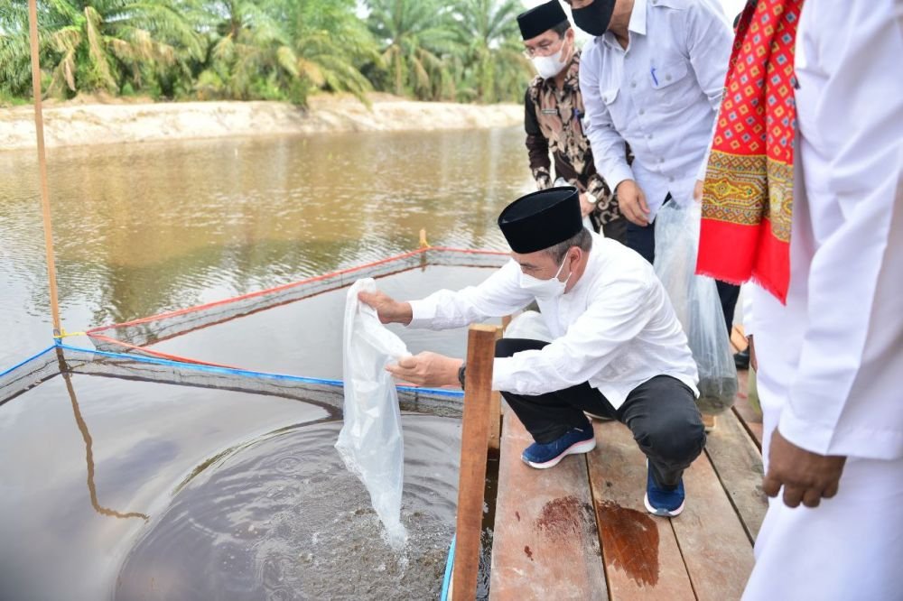 Sempena HUT 64 Riau, Gubri Semai 13.500 ekor Bibit Ikan di Ponpes  